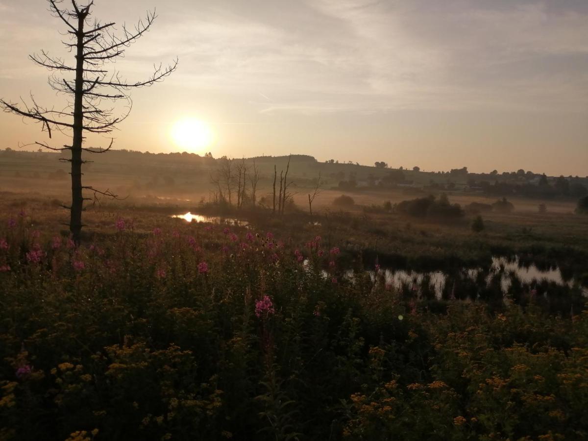 בוטגנבאך Eifel Lodge מראה חיצוני תמונה